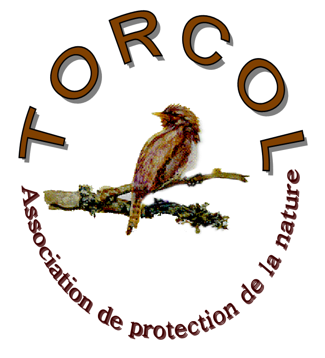 Association Torcol