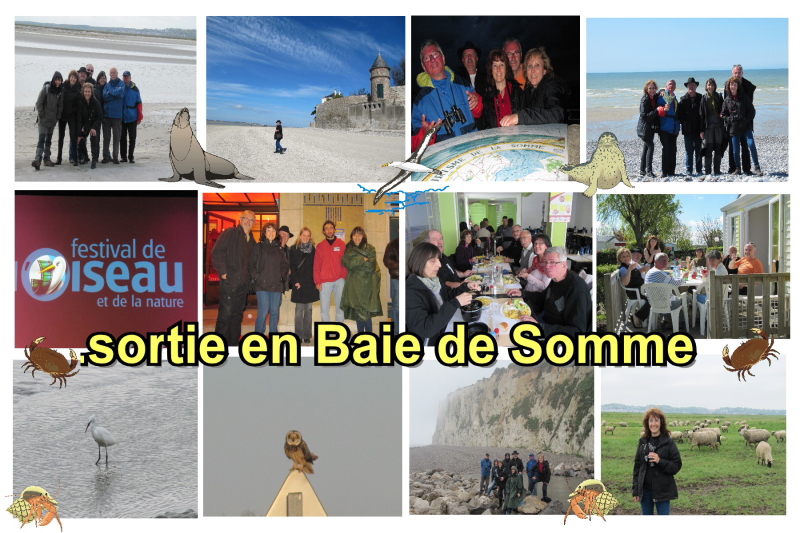 BAIE DE SOMME 2012